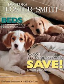 Doctors Foster and Smith Catalog