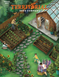 Free Territorial Seed Company Catalog