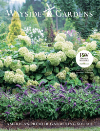 Free Wayside Gardens Catalog