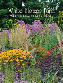 Free White Flower Farm Catalog